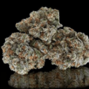 Strawberry Shortcake - Exotic