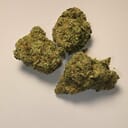 Strawberry Diesel (PREMIUM)