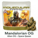 Mandalorian OG