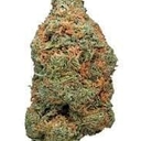 Sweet Tooth (EXOTIC A+)