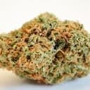 Birthday dawg ( Top shelf )