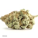 Northern Lights