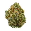 Kentucky Durban AAA