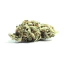Yeti OG (PREMIUM)