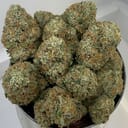 HAWG | Green Dawg Cultivators