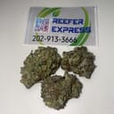 Northern Lights