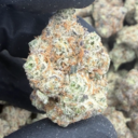 Alaskan Ice (Sativa)