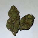 biscotti (premium top shelf)