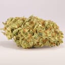 Sour Tangie (PREMIUM)