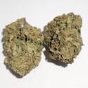 Sour Flame - P