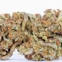 LEMON HEADZ (PREMIUM)