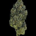 Sky Walker OG (TOP SHELF)