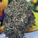 DESIGNER- LA POP ROCKS