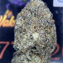 DESIGNER- SPACE CRUSH