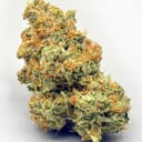 Kushzilla AAA