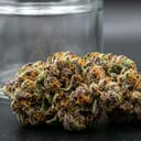 AC Diesel (TOP-SHELF)
