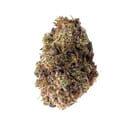Alien Blackout-AAA