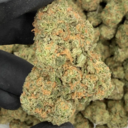 Blue Dream +A (Hybrid)