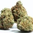 Pink Kush (exotic)