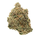 Blue Poison (EXOTIC A+)