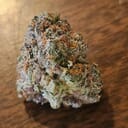 Gelonade - Sativa THC 25%