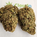 Chocolate Thunder Fuck-P