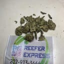 Indoor Gushers