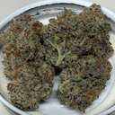 Cookie stomper (TOP SHELF)