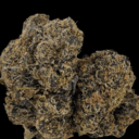 Purple Kush (Designer)