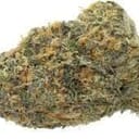 Purple Urkle (PREMIUM)
