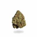 Sour Bubble (PREMIUM)