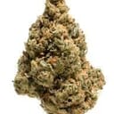 OCTONE OG (PREMIUM)