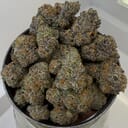 Pink Panties|Green Dawg Cultivators