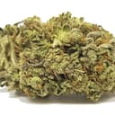 Sour Tangie