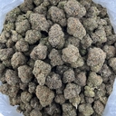 Biscotti Sherbet indoor AAA