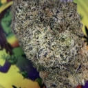 RESERVE- BLACK CHERRY GELATO