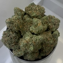 Blue Dream | Permanent Holiday