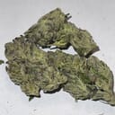 WHITE WIDOW