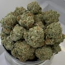 Papaya Muffins | Gotti