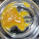 Wax: Coastal Kush