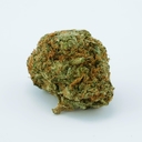 Blue Monster (Top shelf)