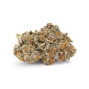 Gelato cake (AAA+)