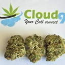 Dirty Banana - Exotic (Special Price)