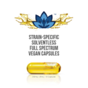 Advesa | Hashberry full spectrum solventless 10 caps | 250mg total cannabinoids