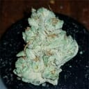 Lava Cake