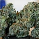 Island Sweet Skunk (Top-Shelf)