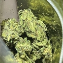 All Top-Shelf Flowers  {1 Oz=$110}{1/2 Oz=$70}{7g=$60}{3.5g=$45}