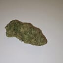Dutch Treat (PREMIUM)
