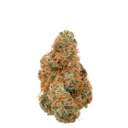 Agent Rose (S) by Green Man