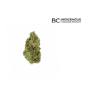 All Nations - Craft Lemon Gelato 3.5g >S